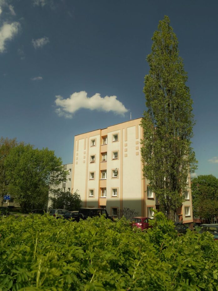 Jakie są kluczowe elementy efektywnego zarządzania w lokalnym biznesie?